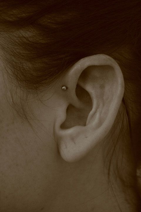 Piercing Anti-Tragus : Le Guide Complet du Piercing Discret et Audacieux