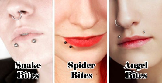 Angel Bites, Spider Bites et Snake Bites : Le Guide Complet pour Choisir votre Piercing Lèvre