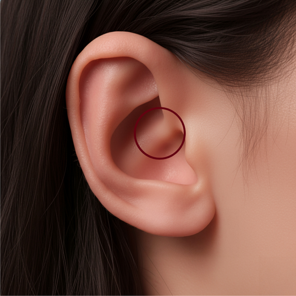 COLLEZIONE - titolo

Daith