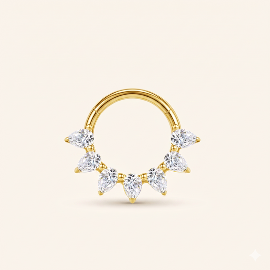 Gotycka cyrkonowa przegroda zatrzaskowa z tytanu G23 – ucho do nosa 16G