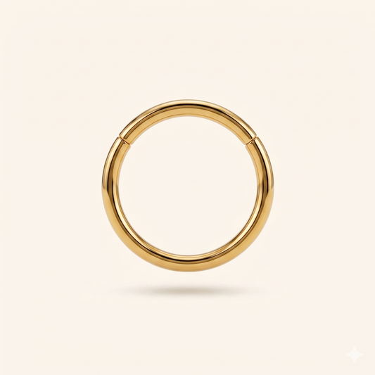 Anneau Segment Clicker Nez en Titane ASTM F136 – Septum Hélix 16G/18G/20G